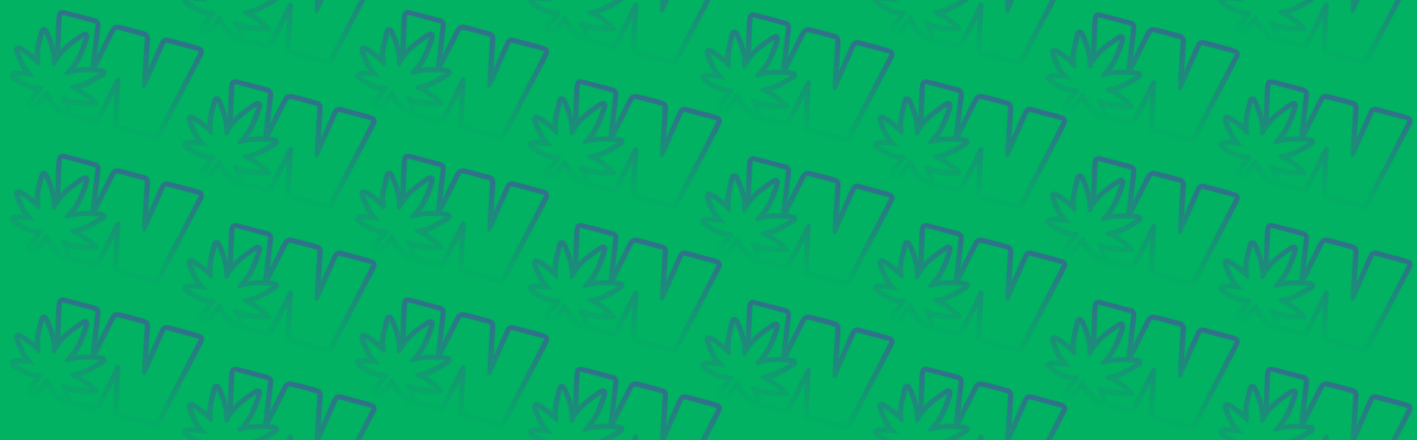 Featured image for “Devil’s Lettuce Strain vs Dream Queen Strain: A Comparative Analysis”