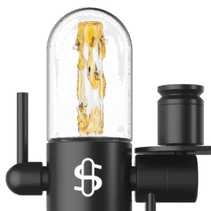 49531411-ad09-4df3-ba50-e1ab3390dd35