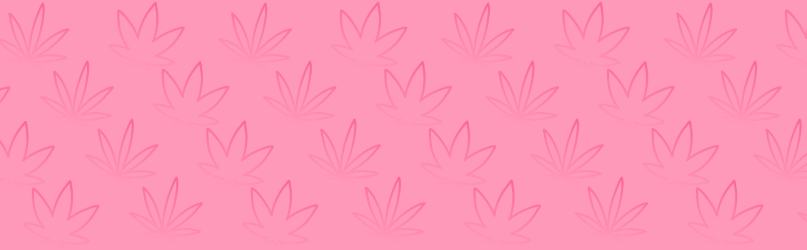 Featured image for “White Truffle Strain vs Apple Fritter Strain: A Comparative Analysis”