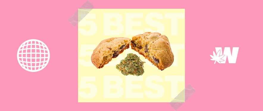 Delta 8 Edibles 5 Best