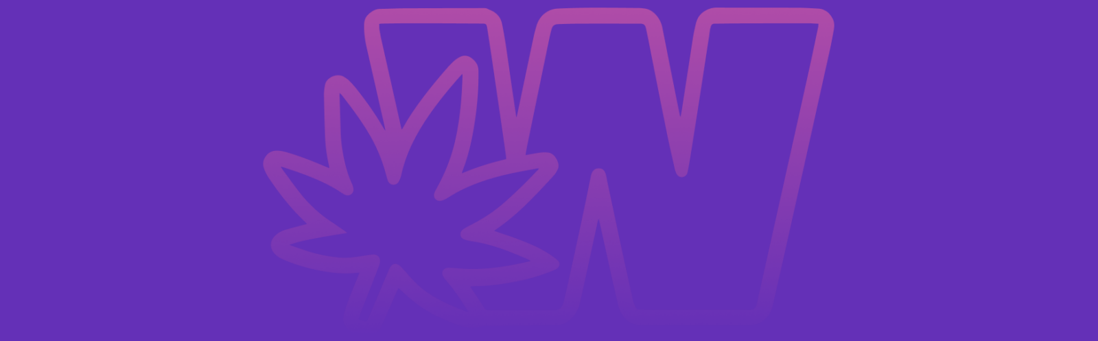 Featured image for “Bacio Gelato Strain vs Platinum Bubba Strain: A Comparative Analysis”