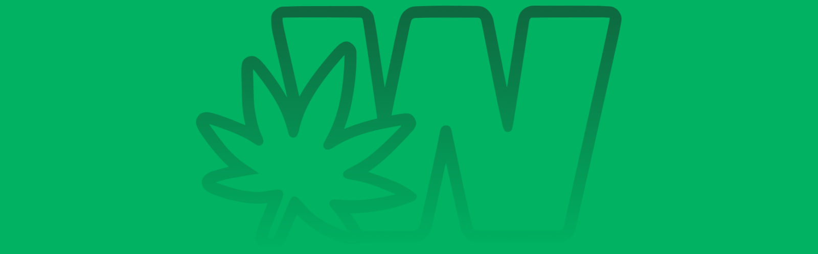 Featured image for “Super Boof Strain vs Gorilla Glue 4 Strain: A Comparative Analysis”