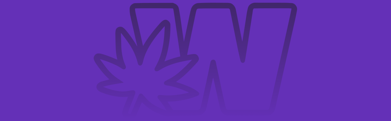 Featured image for “Grand Daddy Purp Strain vs Purple Runtz Strain: A Comprehensive Comparison”