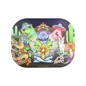 65caba3c-3724-4815-87af-93d4059a3bd9