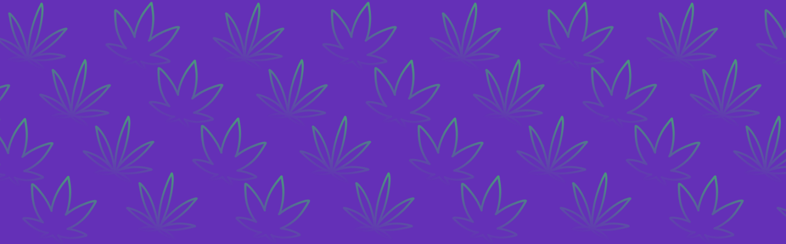 Featured image for “Tropicana Cherry Strain vs Jealousy Strain: A Comparative Analysis”