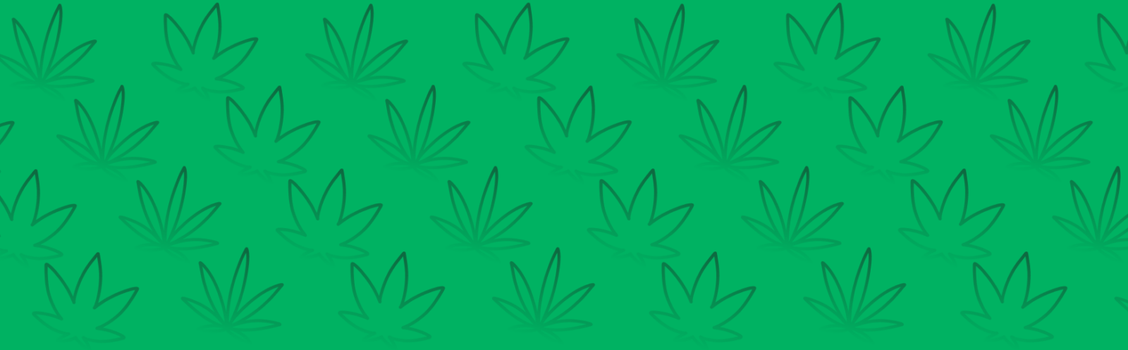 Featured image for “Slurricane Strain vs Grease Monkey Strain”