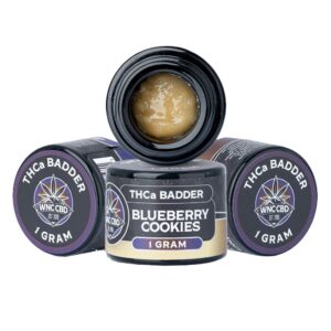 86de2580 3bdb 42f0 9745 a347e947b6d4