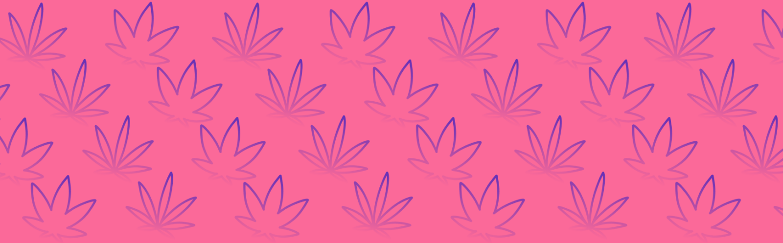 Featured image for “Gelato 41 Strain vs Kush Mintz Strain: A Comprehensive Comparative Analysis”