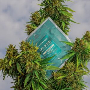 956ff630-b6d1-4376-8827-f862c52a5f07