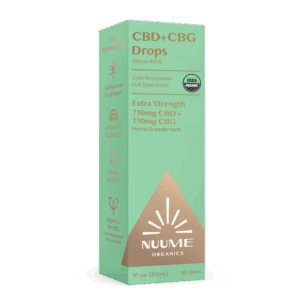 967721f2-489a-48b5-a330-7f09b36e838c-scaled