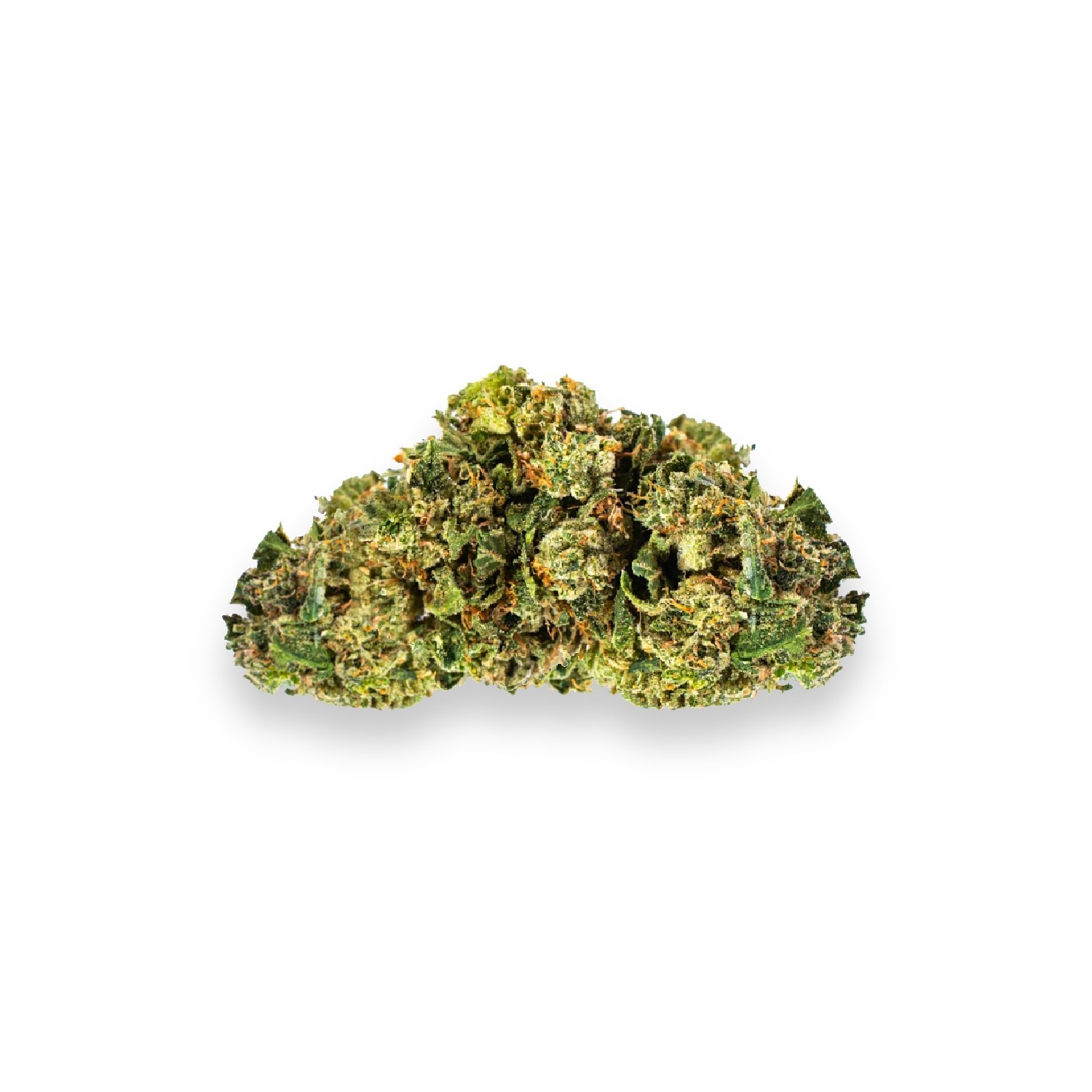 Featured image for “Ace of Spades Strain”