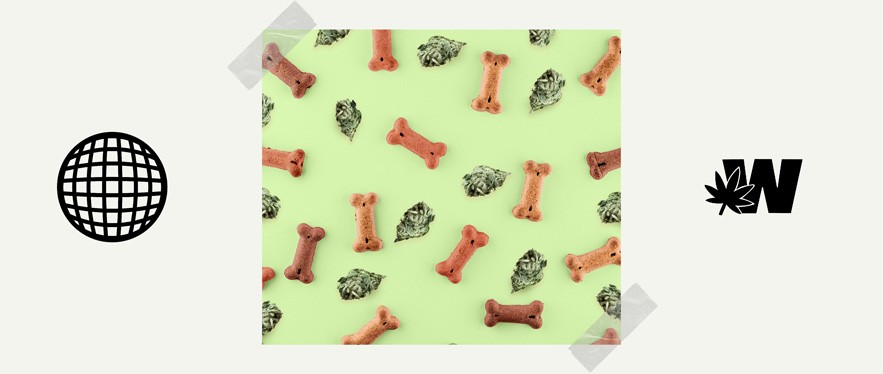 CBD for Pets ( Snack , Weed, Drops )