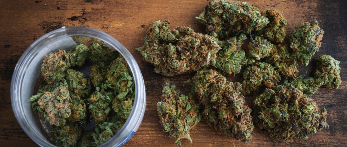 Featured image for “Apple Jack Strain”