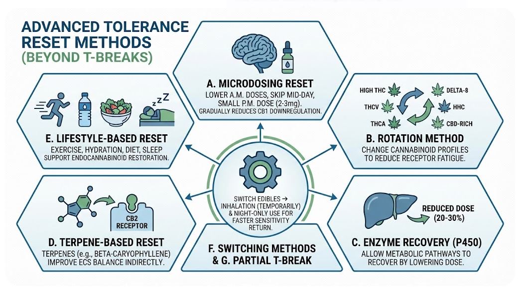 Advanced Tolerance Reset Methods (Beyond T-Breaks)