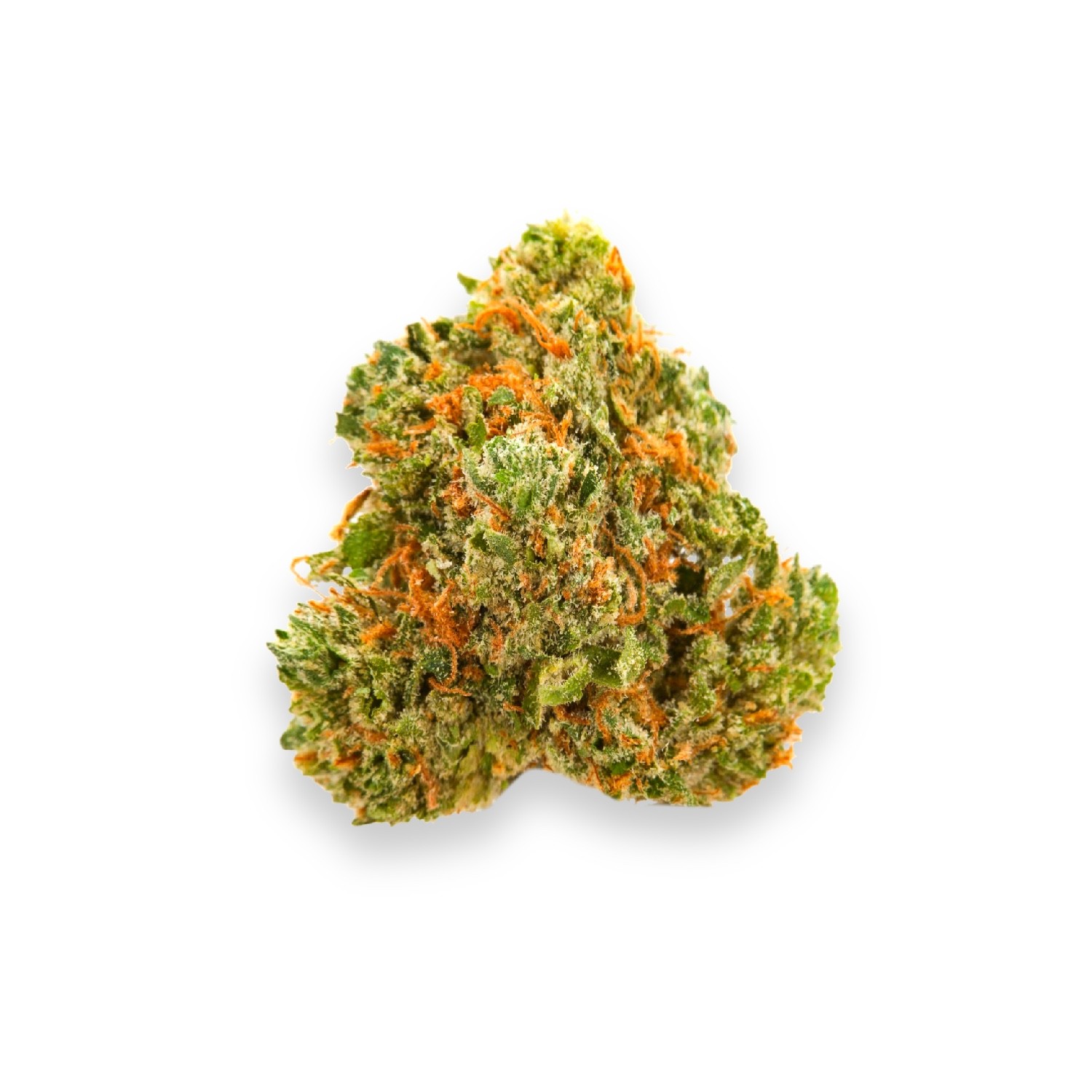 Featured image for “Alien Kush Strain”