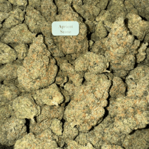 Animal-Scone-HowToGetNearMe-BestPlace-LowestPrice-Coupon-Discount-For-Smoking-Best-High-Smoke-Shop-Online-Near-Me-StrongestBrand-BestBrand-Where-To-Buy-THC-THCA-D8-D9-Hemp-Bloomz