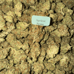 Apricot-Scone-HowToGetNearMe-BestPlace-LowestPrice-Coupon-Discount-For-Smoking-Best-High-Smoke-Shop-Online-Near-Me-StrongestBrand-BestBrand-Where-To-Buy-THC-THCA-D8-D9-Hemp-Bloomz-1