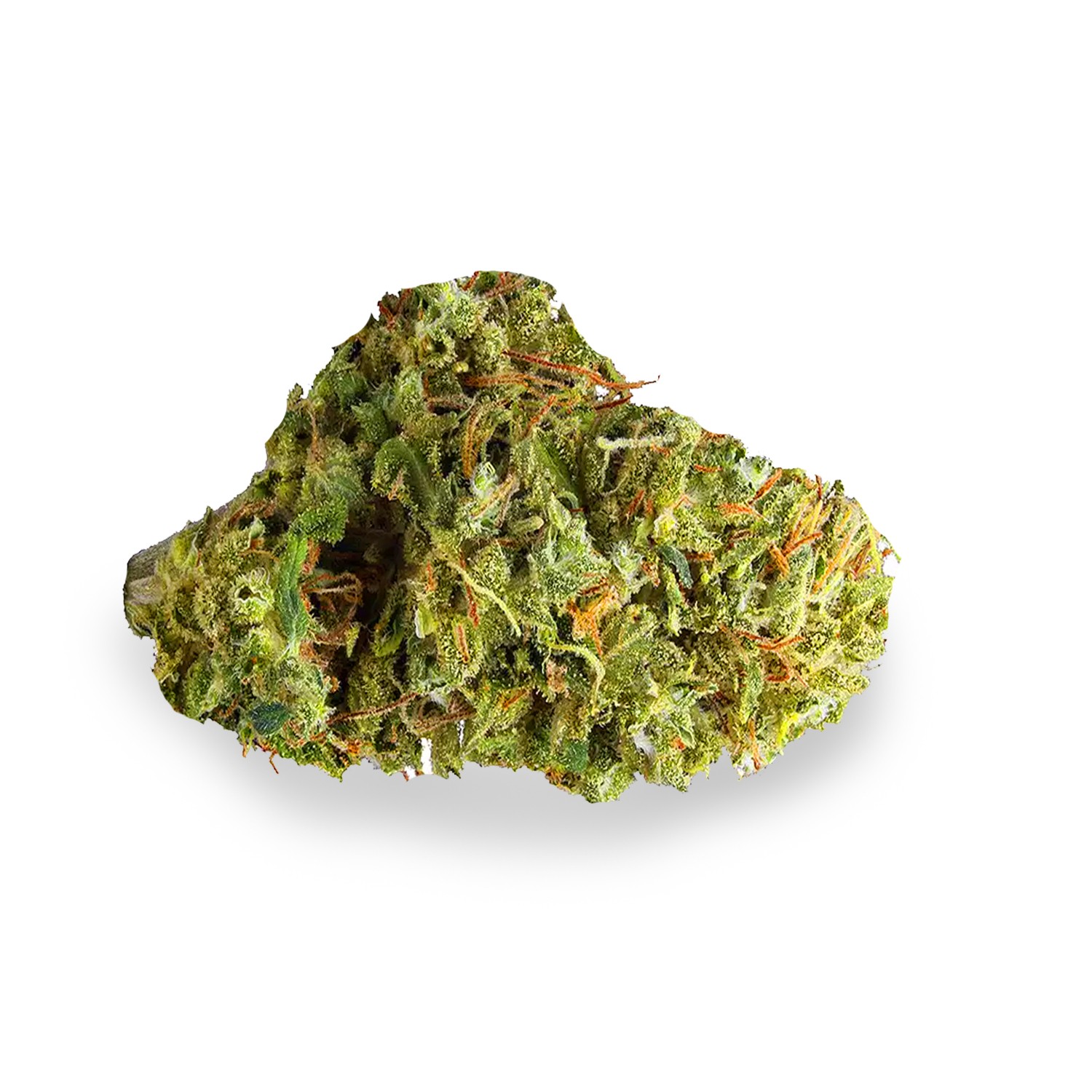 Featured image for “Arjan’s Strawberry Haze Strain”