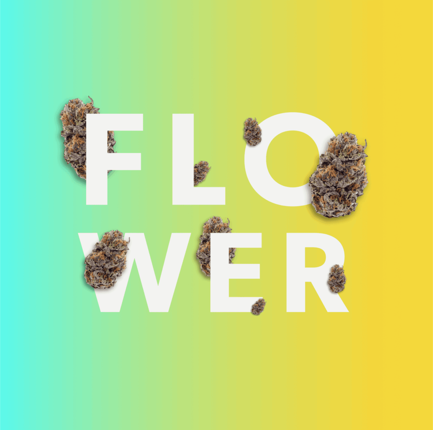 weed flower for home page
