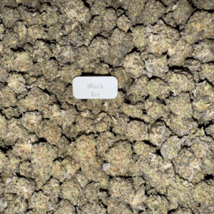 BLACK-ICE-popcorn-exotic-HowToGetNearMe-BestPlace-LowestPrice-Coupon-Discount-For-Smoking-Best-High-Smoke-Shop-Online-Near-Me-Strongest-Binoid.-1