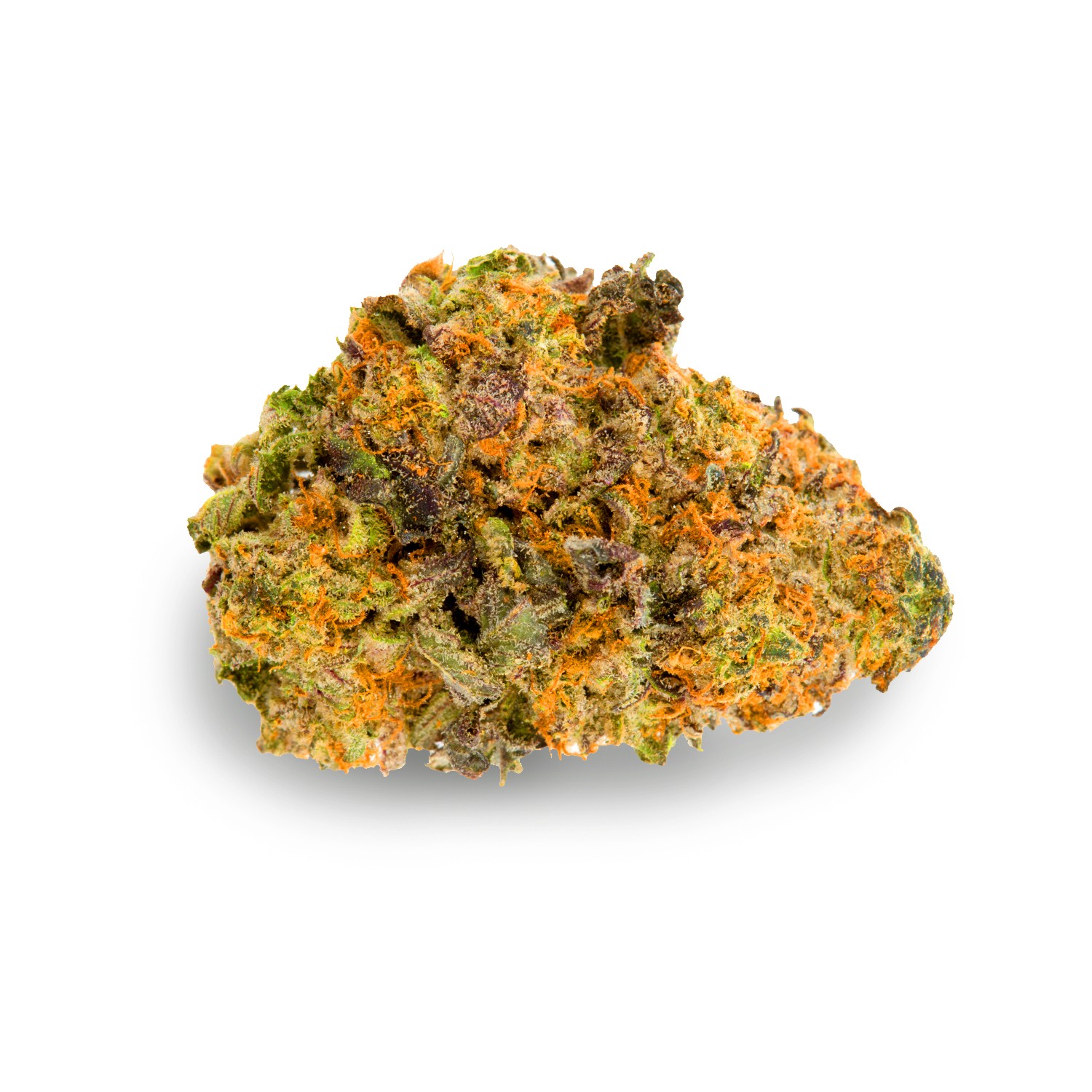 Featured image for “Bay Platinum Cookies Strain”