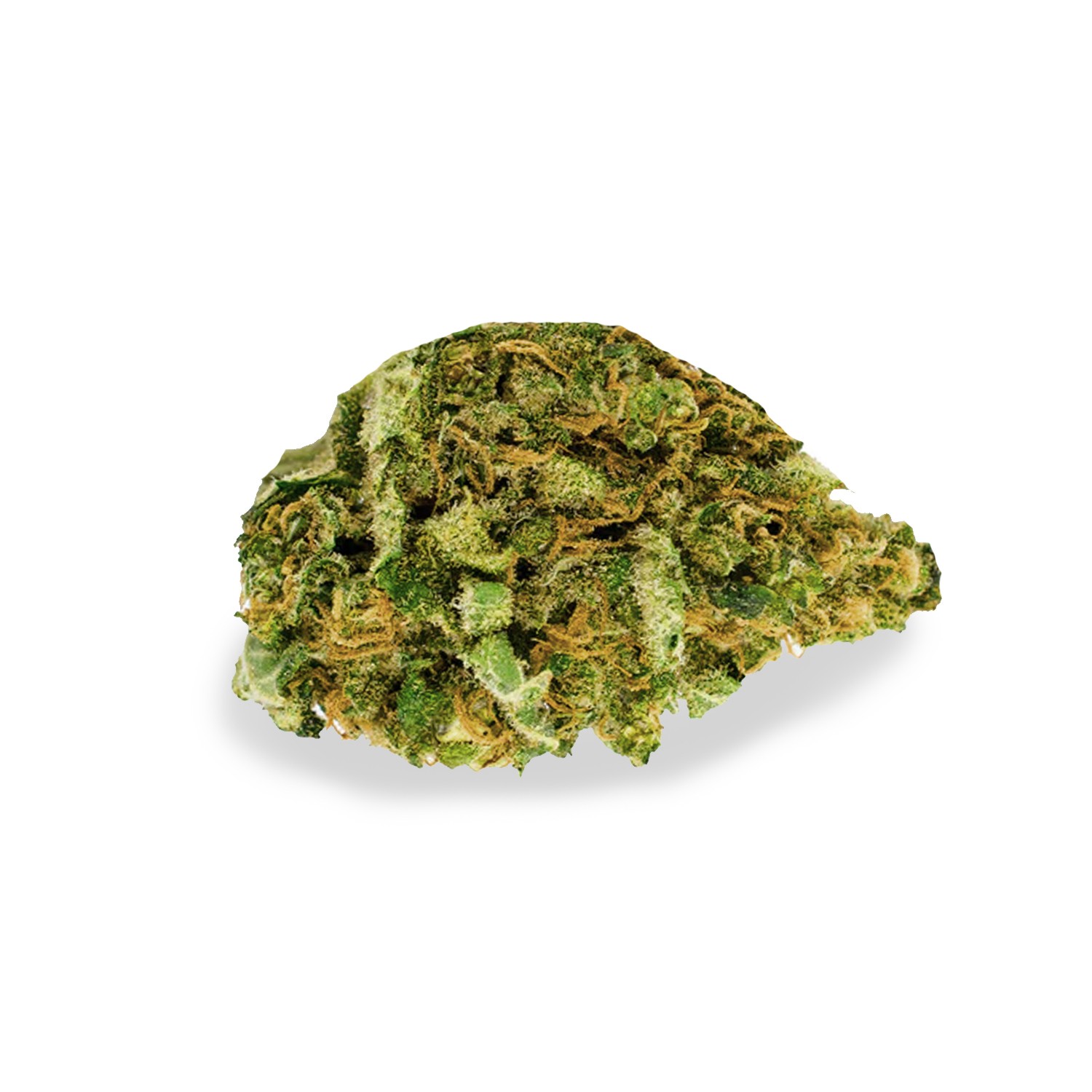 Featured image for “Big Bud Strain”