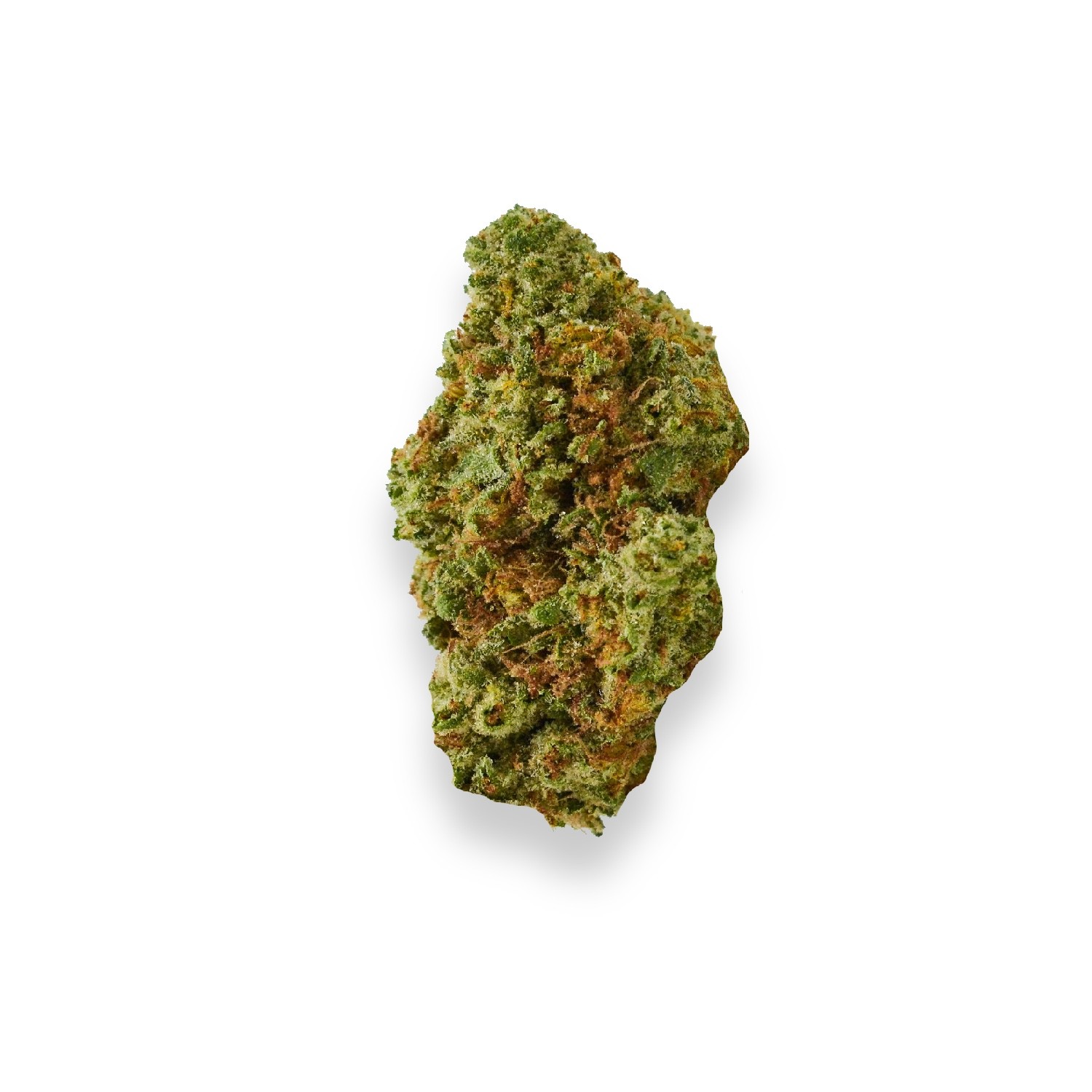 Featured image for “Black Domina Strain”