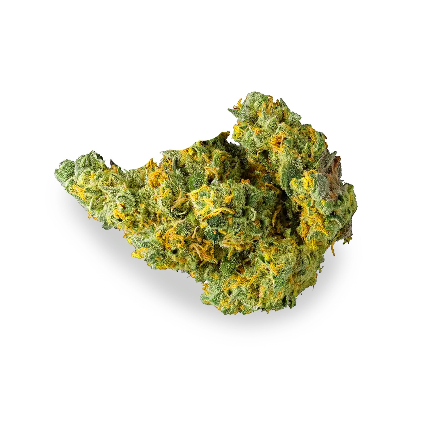 Featured image for “Blood Orange Sorbet Strain”