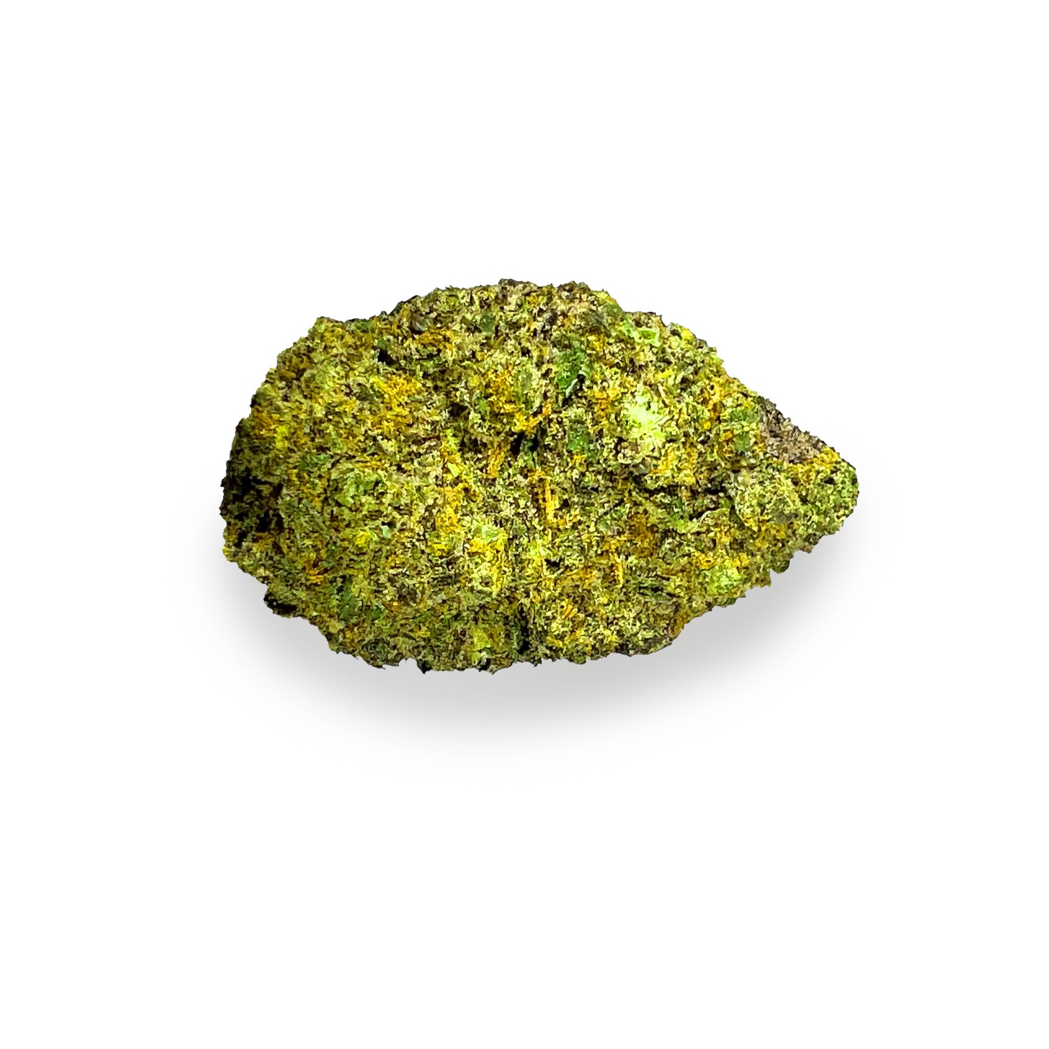 Featured image for “Blowfish Strain”