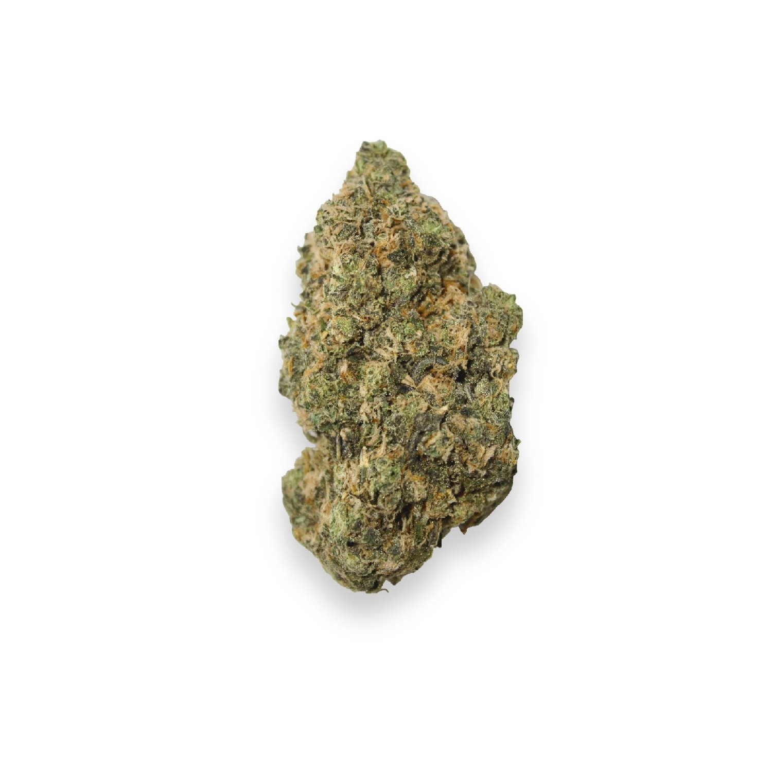 Featured image for “Blue Alien Strain”