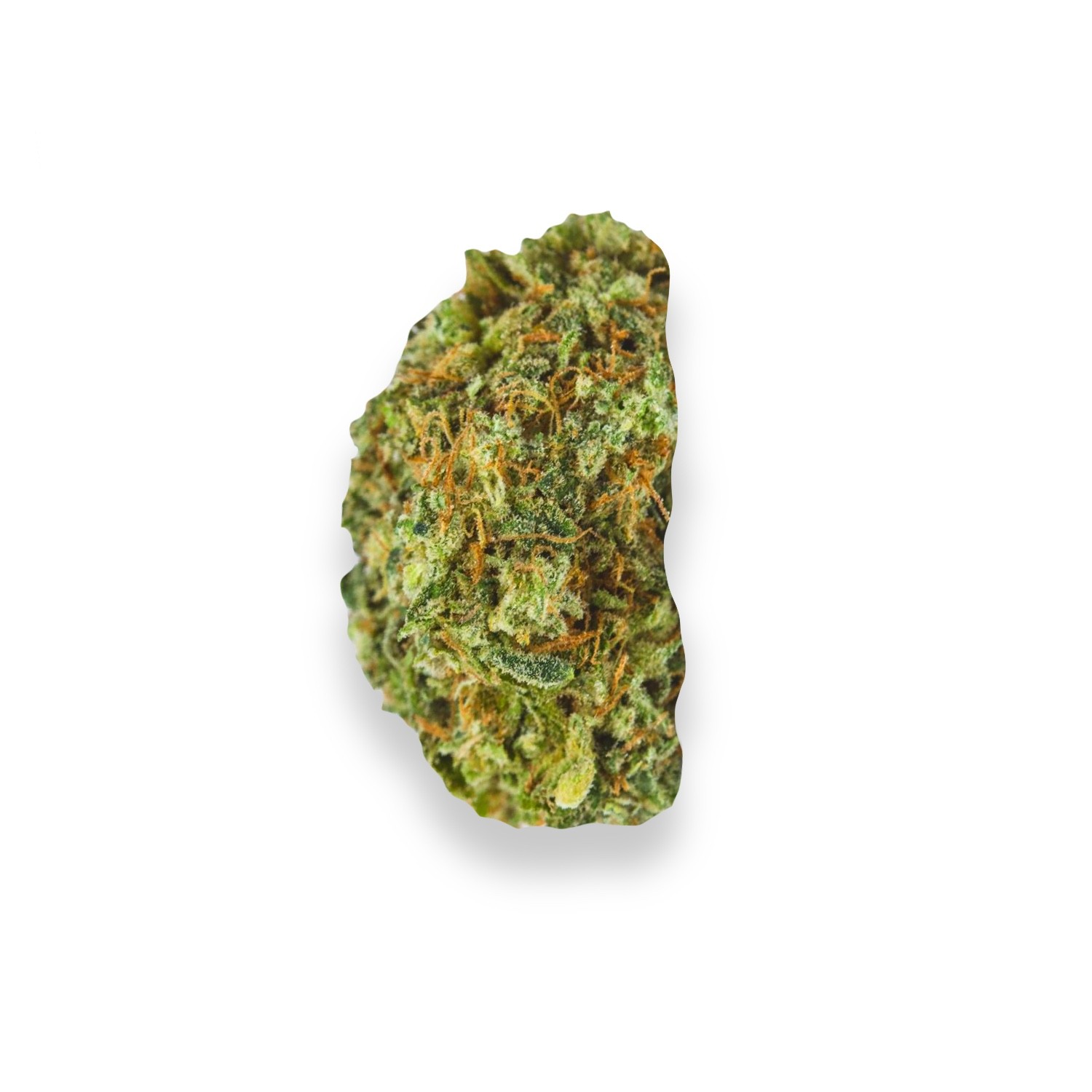 Featured image for “Blue Magic Strain”