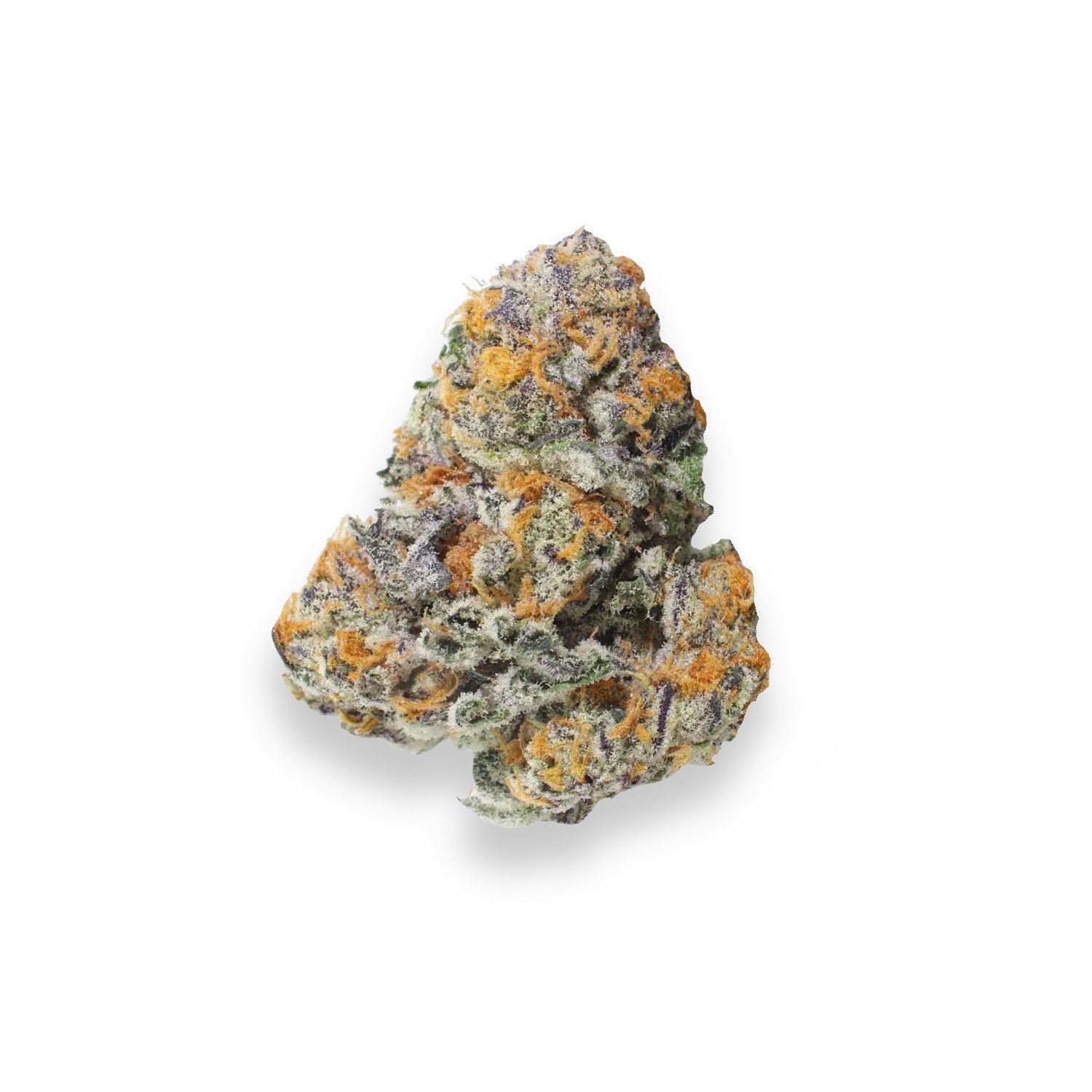 Featured image for “Blue Sherbert Strain”