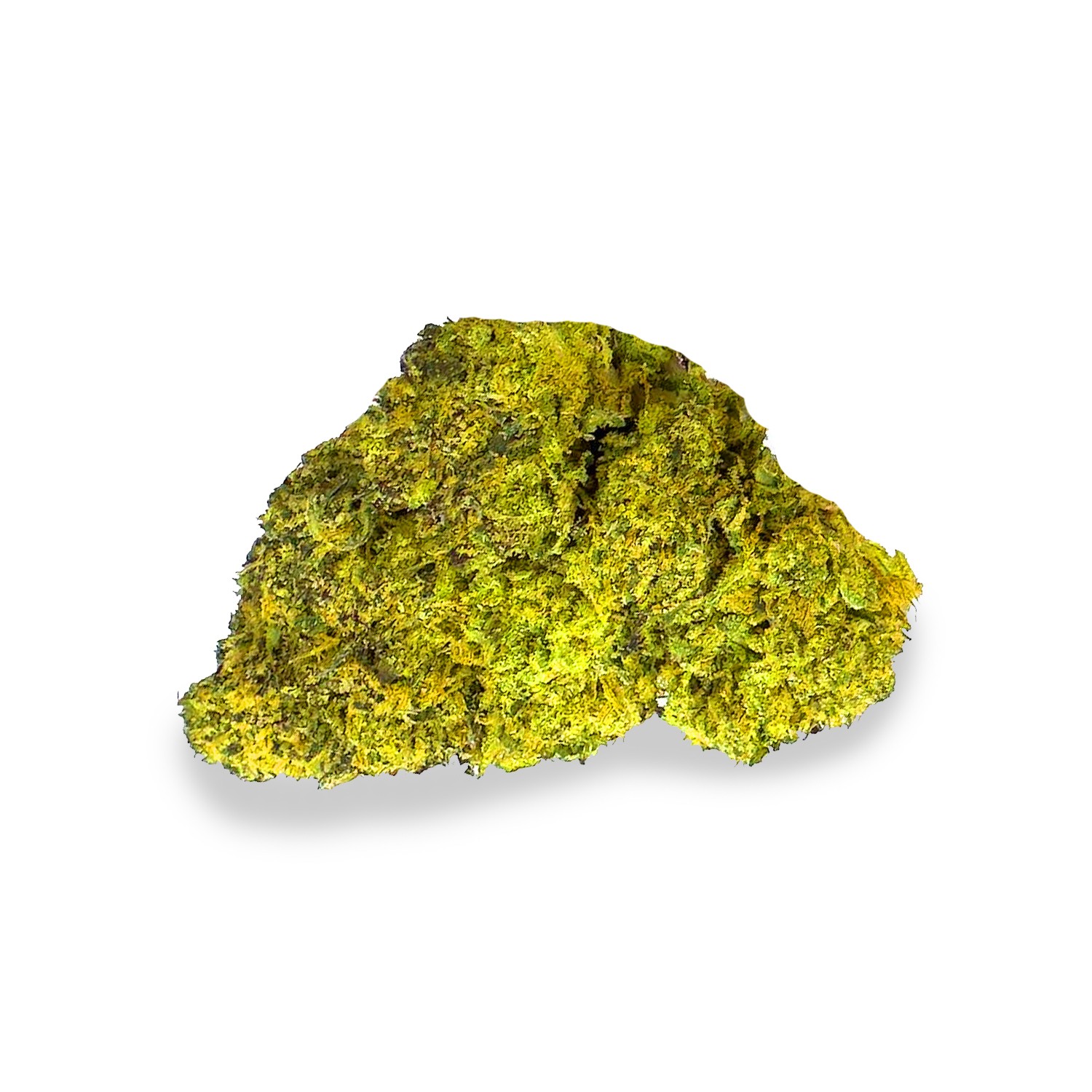 Featured image for “Blurple Strain”