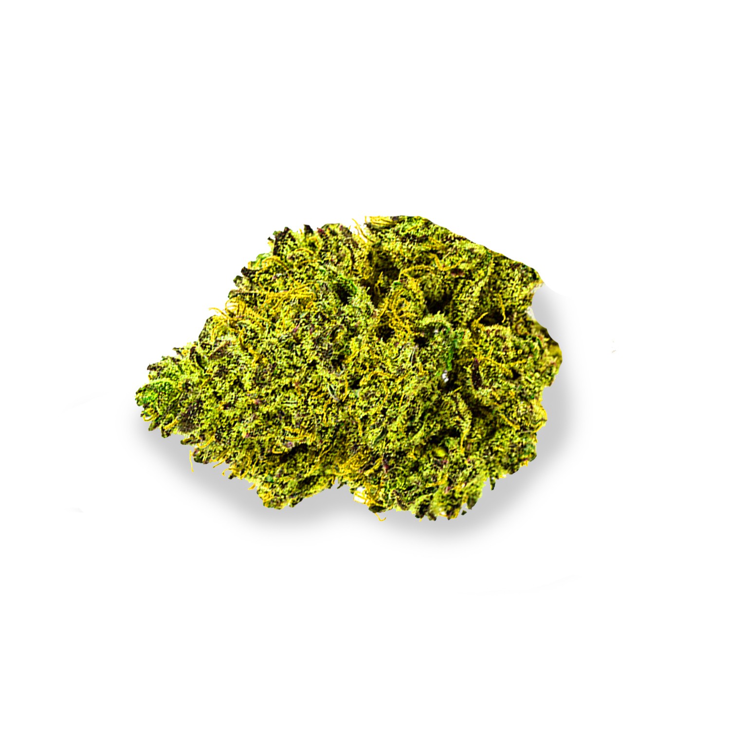 Featured image for “Brain Candy Strain”