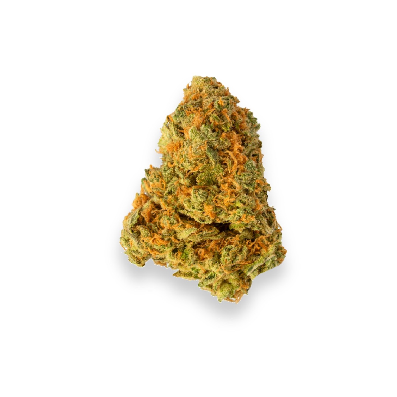 Featured image for “Buddha Haze Strain”