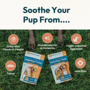 CBD-dog-treats-benefits_pb