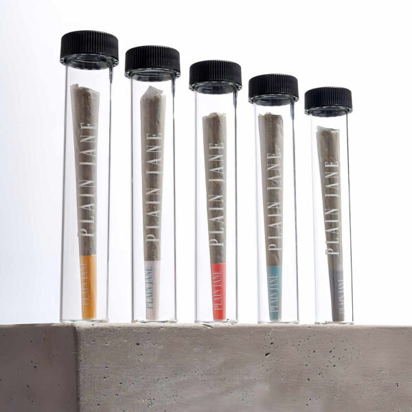 CBD Flower Joints Plain Jane