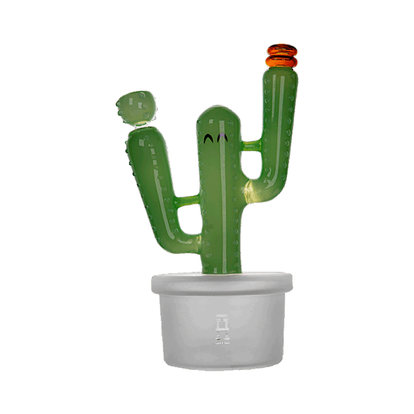 Cactus-XL-front
