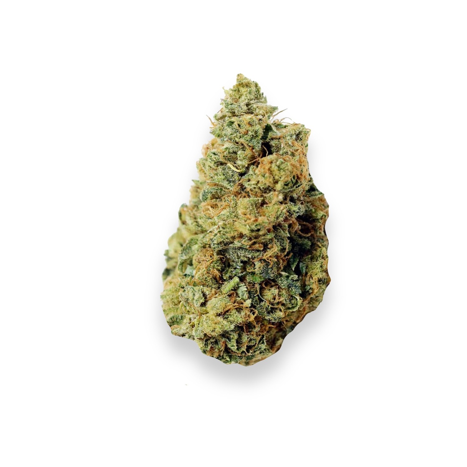 Featured image for “Cannatonic Strain”