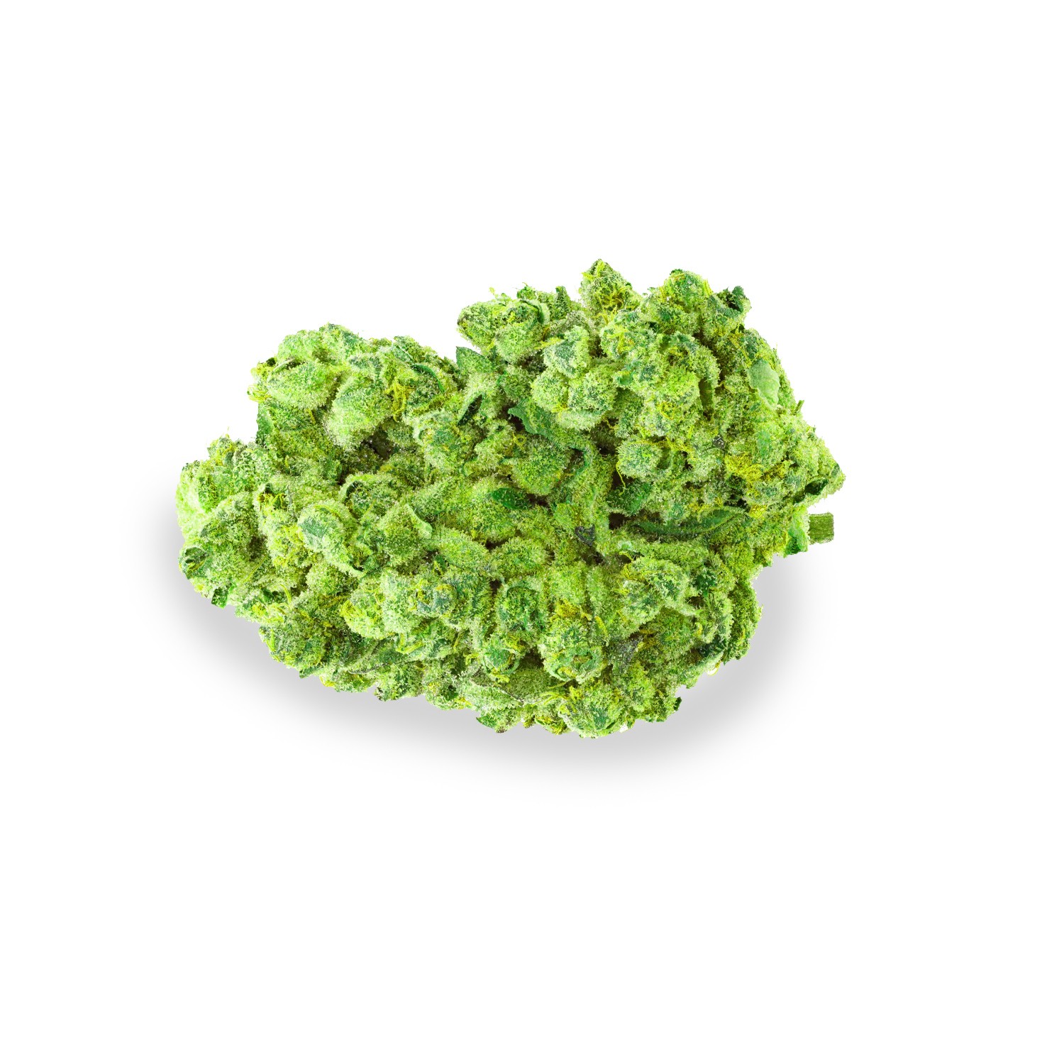 Featured image for “Carl Sagan Strain”