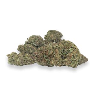 Cherry Abacus Hybrid Buds Online