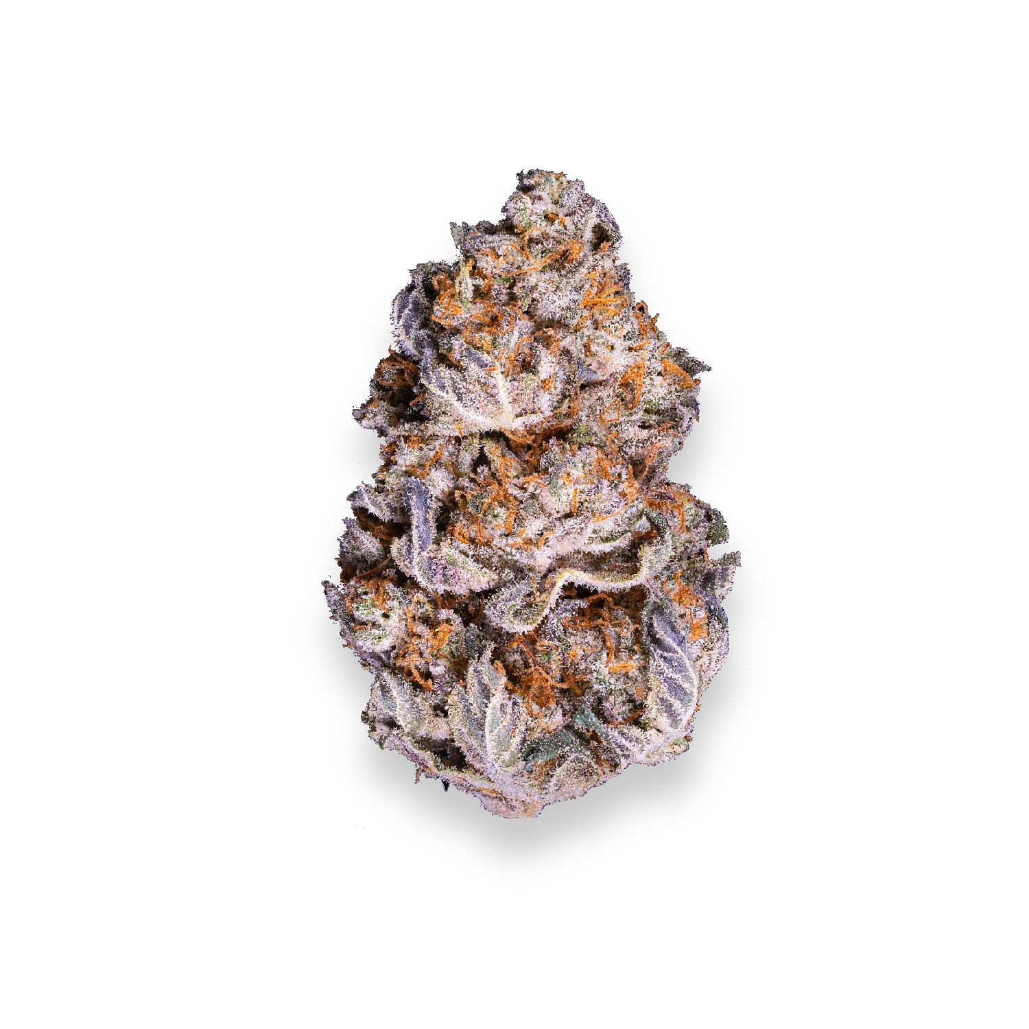 Featured image for “Chocolate Chunk Strain”