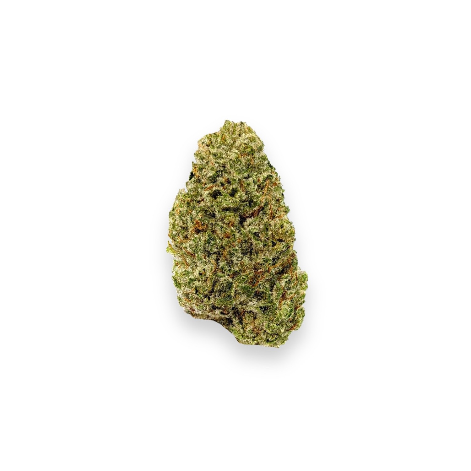 Featured image for “Christmas Tree Strain”