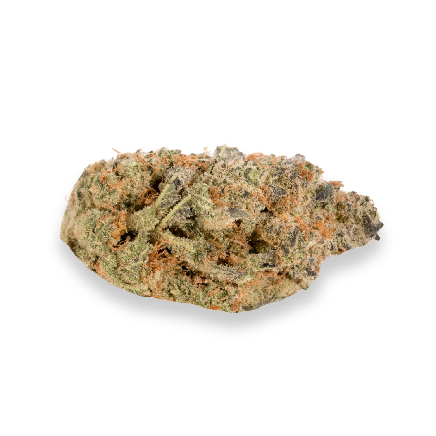 Featured image for “Florida Orange Strain”