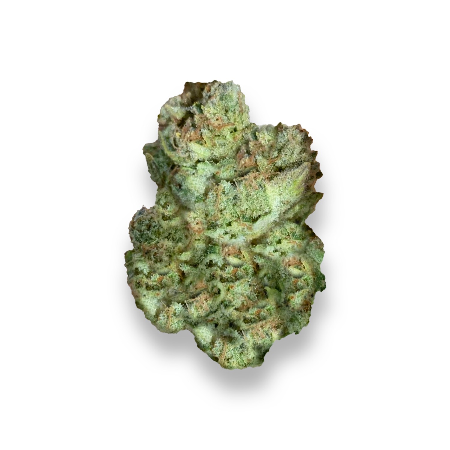 Featured image for “G1000 Strain”