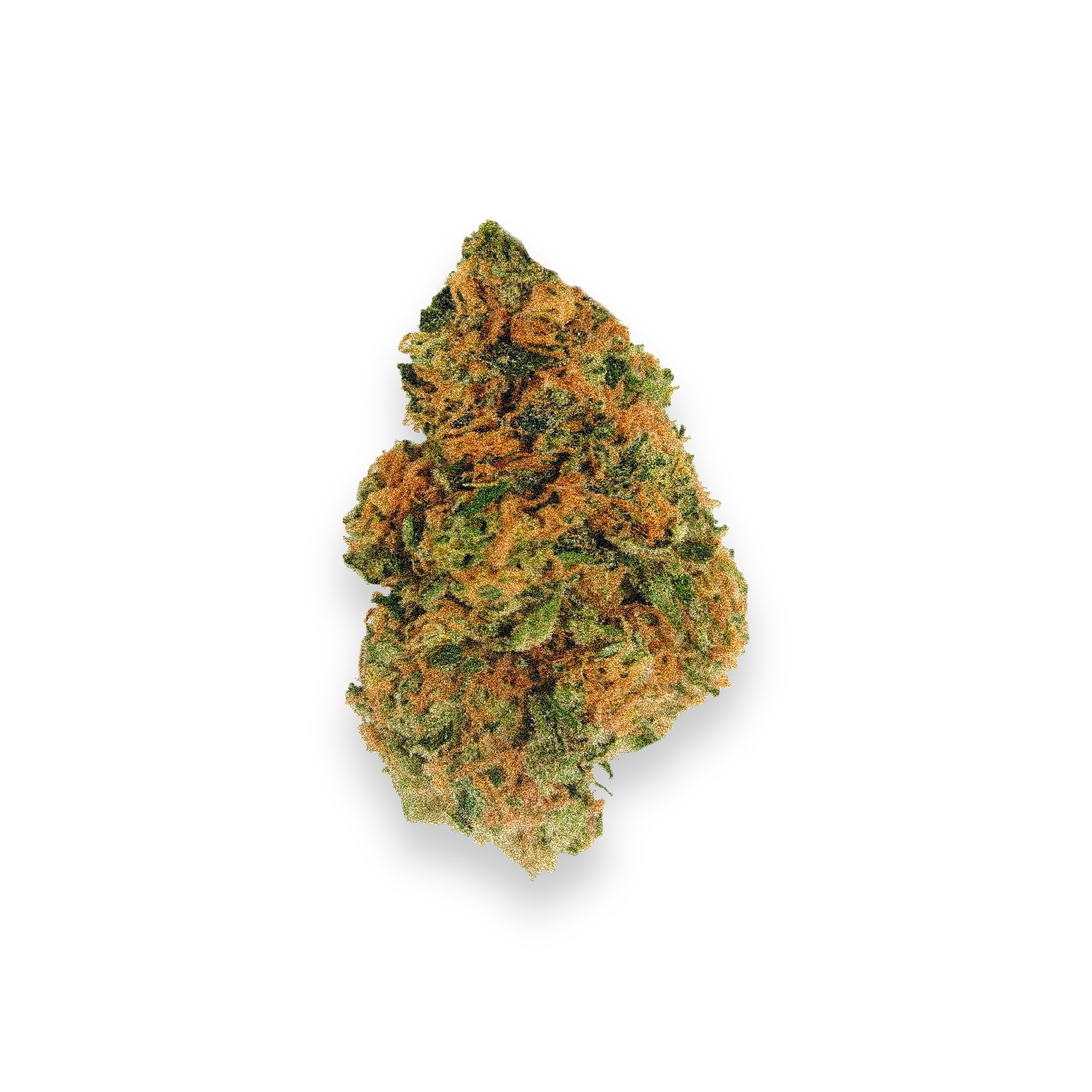 Featured image for “Gigabud Strain”