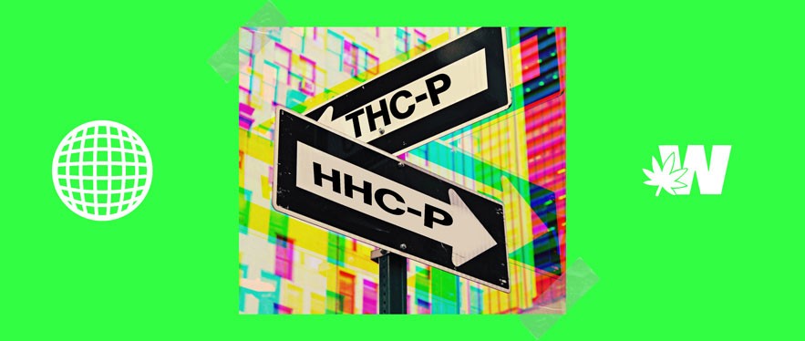 Featured image for “HHC-P vs. THC-P: What’s the Difference?”