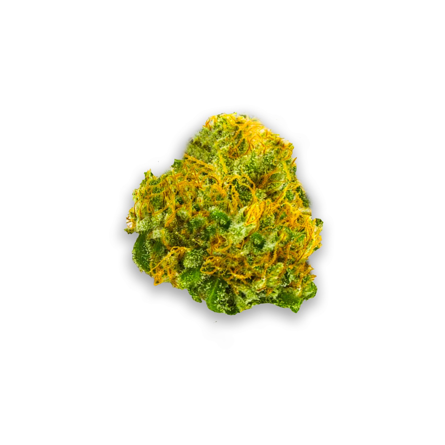 Featured image for “Hawaiian Snowcone Strain”