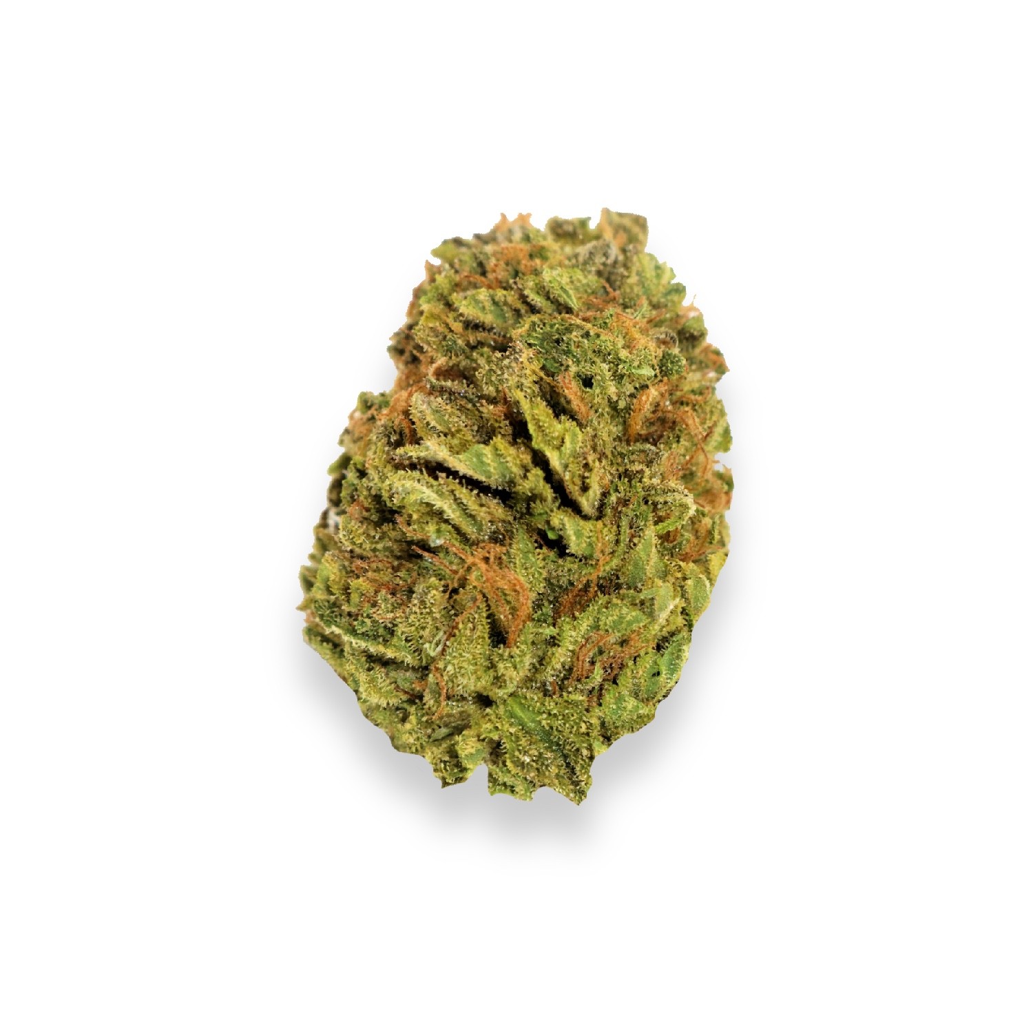 Featured image for “Head Cheese Strain”