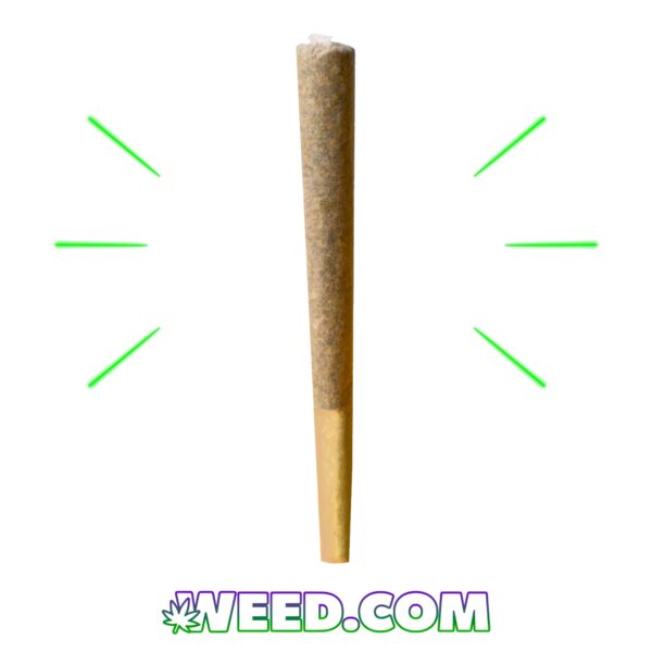 How To Roll A Joint Guide Step By Step